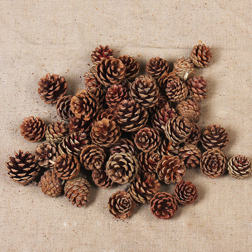 干树枝墙壁装饰干花树枝幼儿园手工diy材料森系麻绳松果木片环创 - 图0
