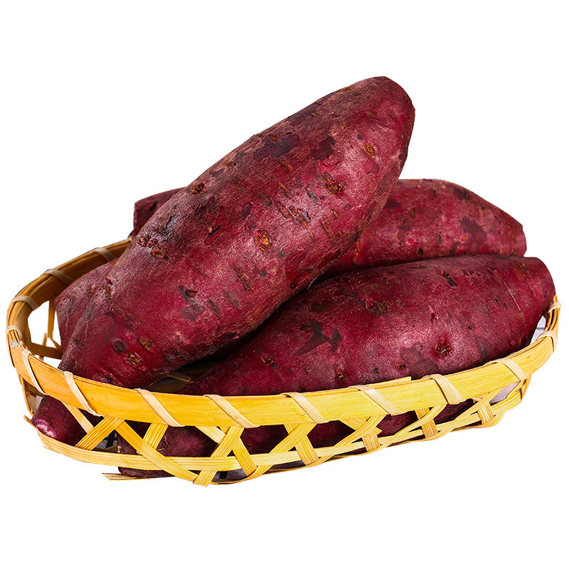 广东沙地紫罗兰新鲜现挖小个地瓜 鲜乐意番薯