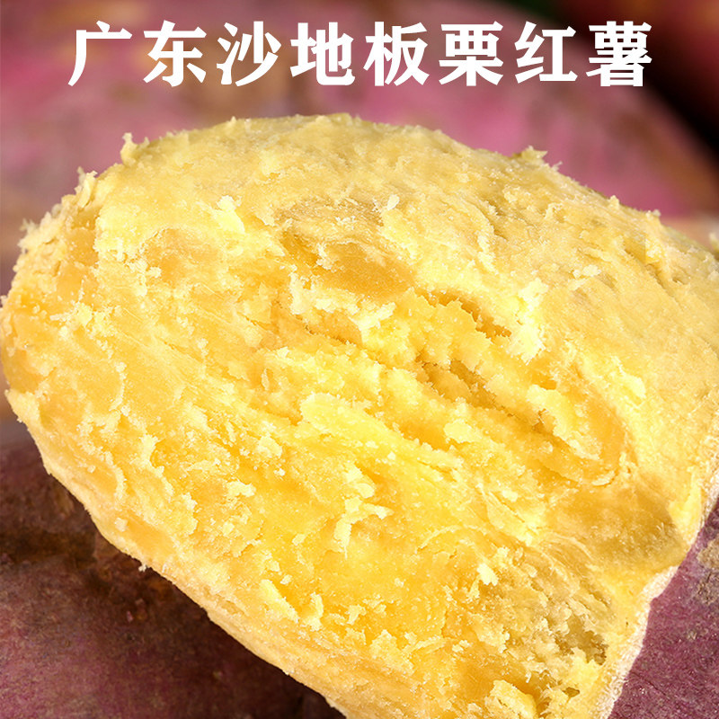 广东沙地新鲜农家自粉糯板栗红薯 鲜乐意番薯
