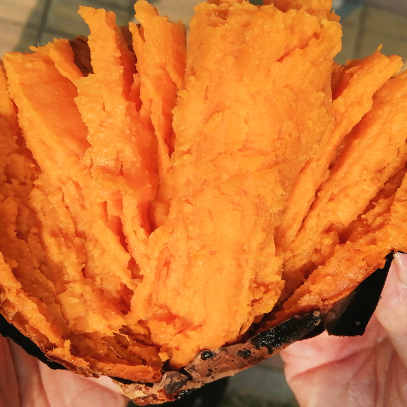 日日顺乐农旗舰店安徽新鲜蜜薯烤红薯沙地农家糖黄心番薯5斤现挖板栗香山芋地瓜100