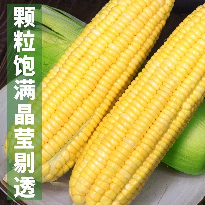 广西农家水果玉米9斤新鲜生吃甜玉米棒子粘苞谷米现摘糯包邮蔬菜5,淘宝优惠券,粉丝福利购,淘宝优惠卷