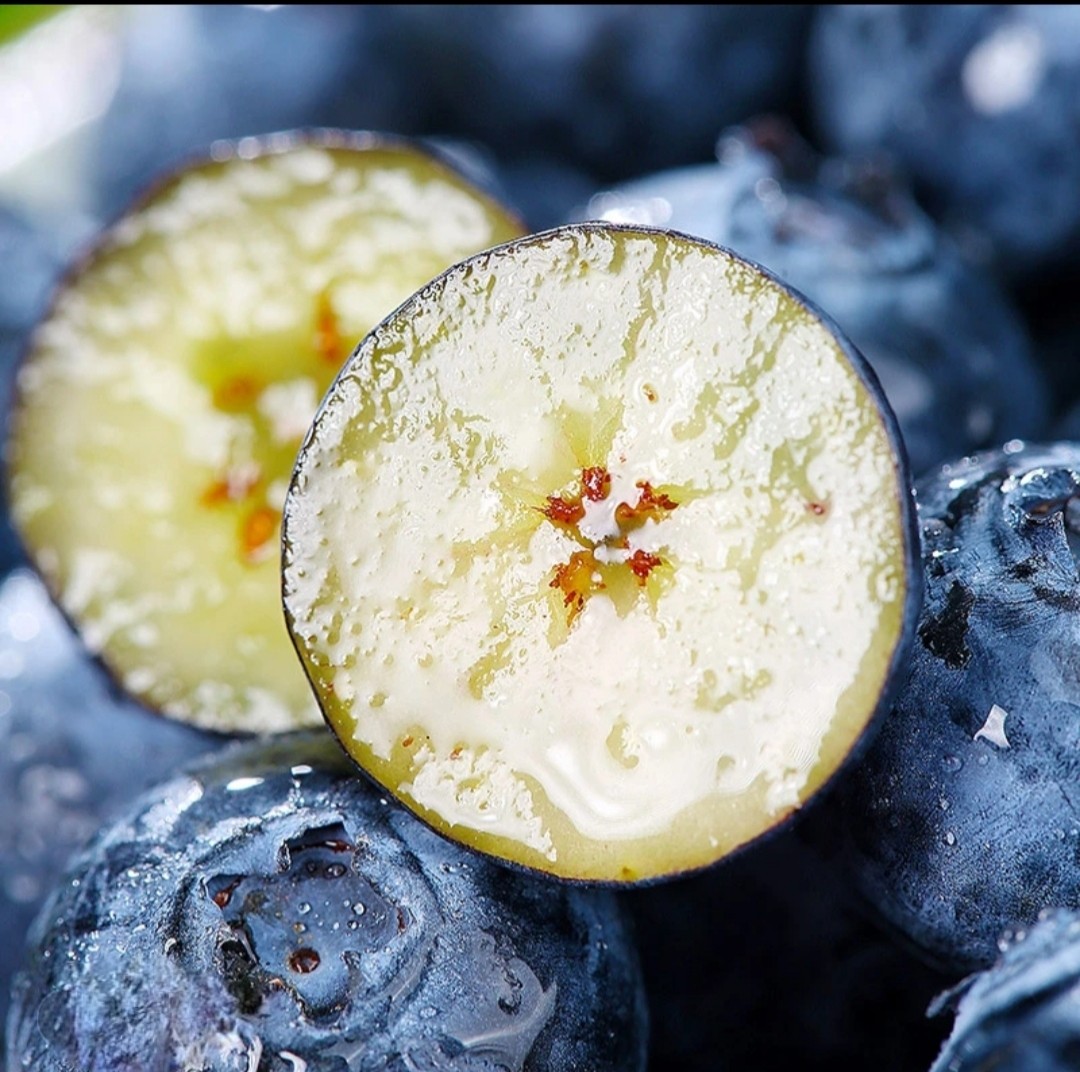 当季水果【云南花香蓝莓】顺丰京东特快包邮头茬上市产地新鲜直发,淘宝优惠券,粉丝福利购,淘宝优惠卷