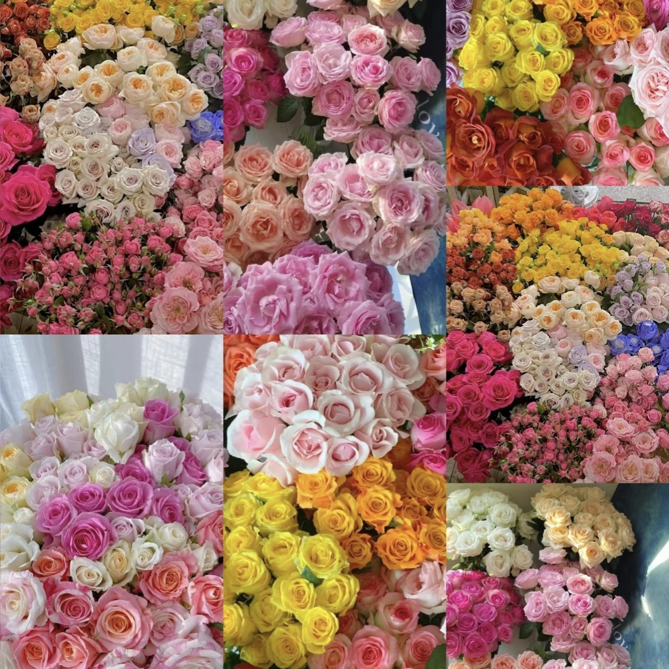 仙女体验盲盒【不指定快递】玫瑰盲盒随机30支玫瑰  单件包邮,淘宝优惠券,粉丝福利购,淘宝优惠卷