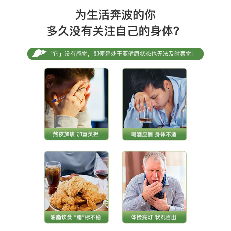 新西兰go healthy高之源胶囊解酒药 GoHealthy海外蓟类
