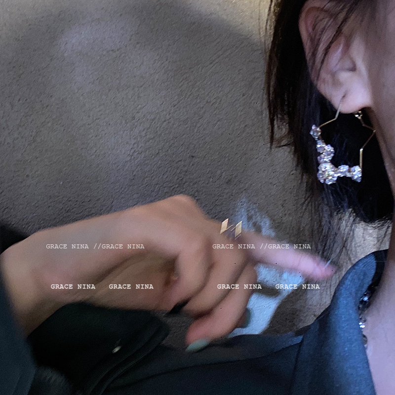 海王的宝藏~耳环2024年新款潮耳饰女耳钉显脸瘦个性气质长款水晶