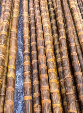 龙血金丝竹密节纯手工打磨实心武术竹棍棕竹教鞭手杖登山杖手拐杖
