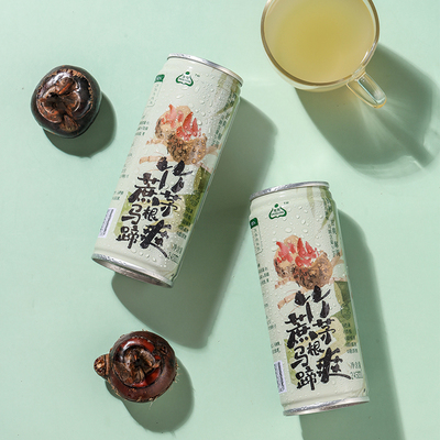 生龙鲜榨竹蔗茅根马蹄汁清甜爽口解渴大果粒脆广式凉茶即饮245ml