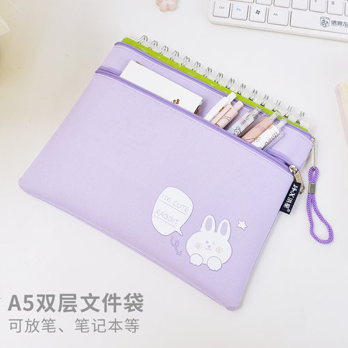 A4手提双层文件袋小学生课本拎书袋卡通可爱试卷收纳袋孕妇b超单资料袋大容量防水a5作业本笔记本拉链袋加厚 - 图1