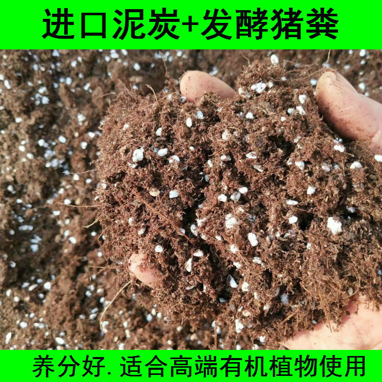 营养土阳台种植多肉月季水仙种球蔬菜花卉通用栽培基质草莓专用土,淘宝优惠券,粉丝福利购,淘宝优惠卷