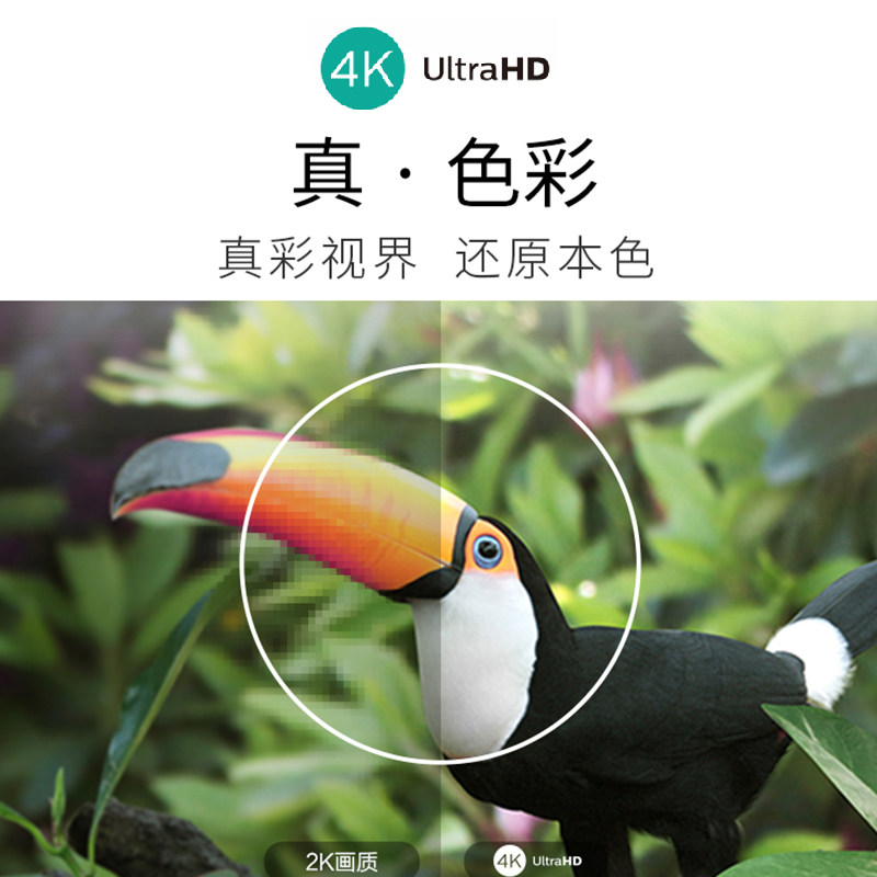  飞利浦电视平板电视