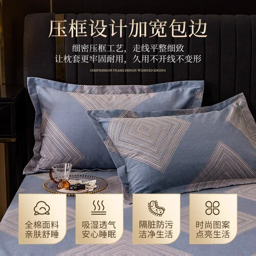 枕头套全棉纯棉枕套一对装48x74加厚磨毛单人学生单2024新款防头 - 图0