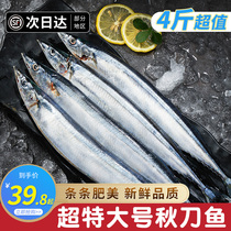 Autumn Knife Fish Frozen Fresh Commercial Day Style Cuisine Special barbecue Seafood Aquatic Live Deep-sea Fish 4 catfish