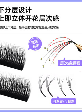 3D立体蓬松漫画多层野生睫毛美睫店师专用不散根山茶花LJLBLC翘