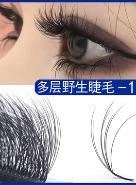 LCD3D野生感多层次蓬松山茶花漫画5D凌乱新款嫁接睫毛美睫店0.07