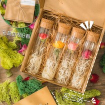 Glass Test Tube Dried Flowers Real Flowers Rose Gold Floral Wishing Bottle Full of Star Teachers Day Gift Decorations Hem