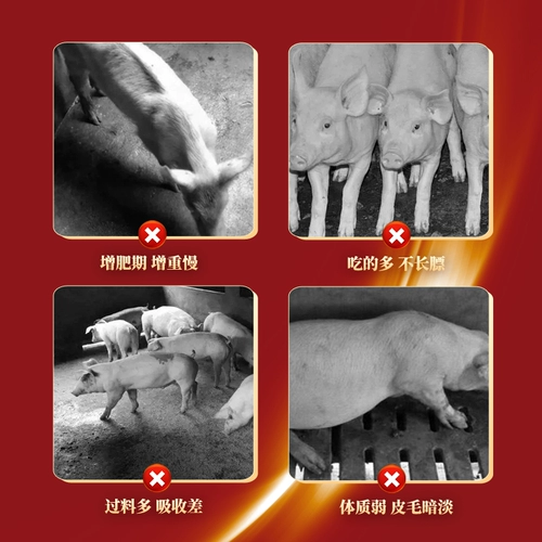 Высокая медь 92 0 Жесткие длинные зверя с свиноводными добавками.