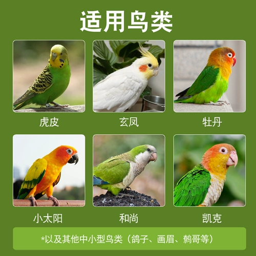 Попугай специальная каракатица костяная порошка птицы с кальцием питательной порошкой тигр кожа Сюанфенг Птица пиона, чтобы способствовать яйцам Симоми, смешивая пищу птиц.
