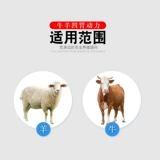 Четырех -пистолетный зверь с крупным скотом использует четыре динамические жидкие пероральные животные с крупным рогатым скотом и овец Anti -刍 刍