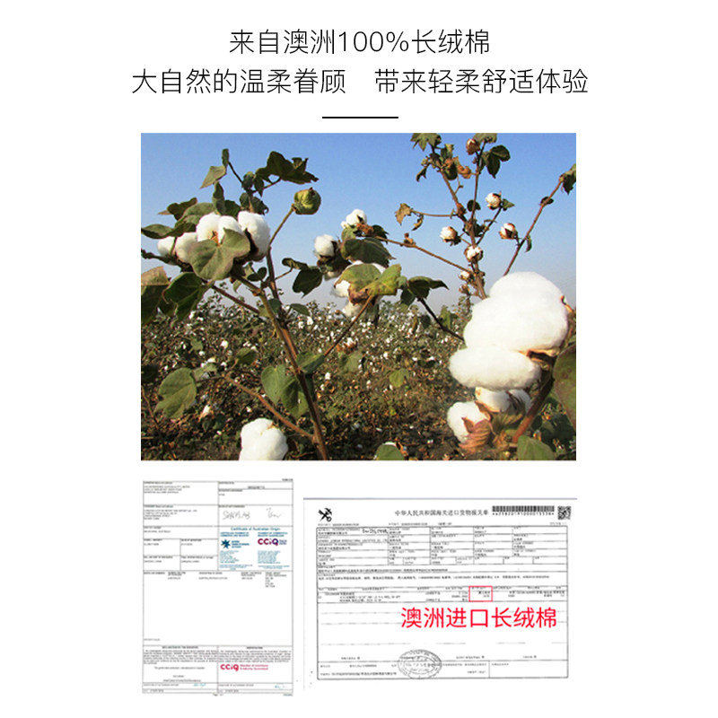 新西兰lenmas兰玛斯亲肤盒装洁面巾 lenmas化妆/美容工具