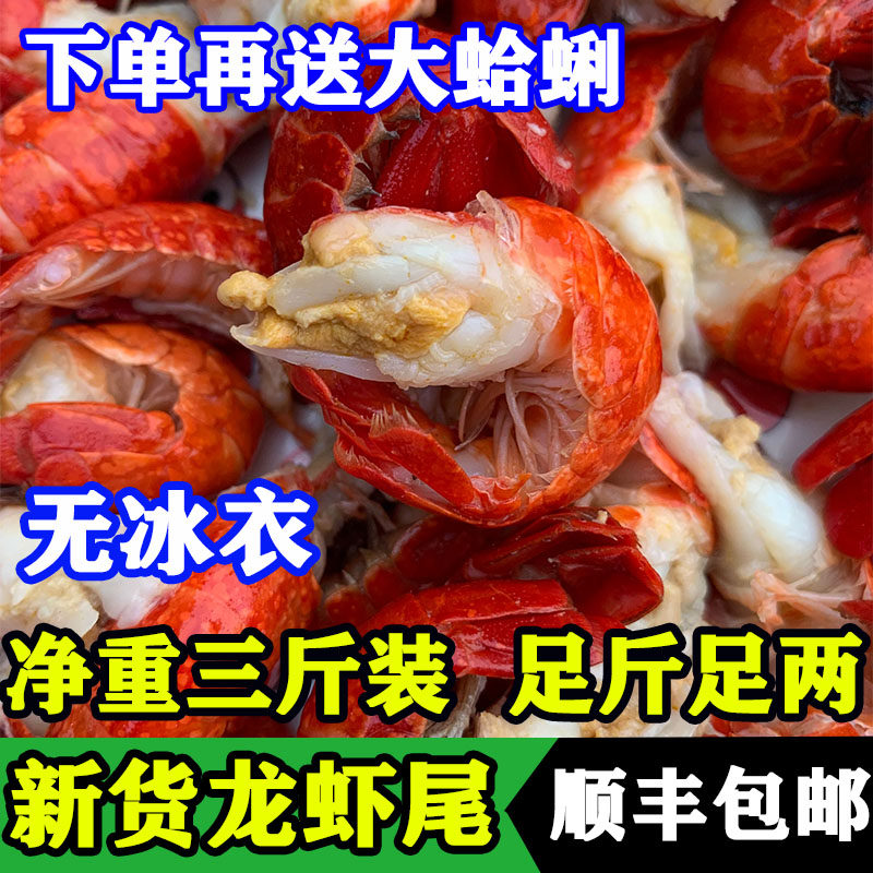 海鲜水产鲜活冷冻大号虾球龙虾尾 奇愿虾类制品