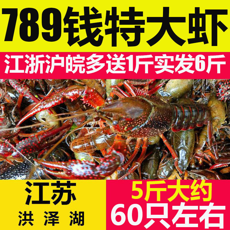 江苏盱眙清水鲜活5斤装789小龙虾 奇愿活虾