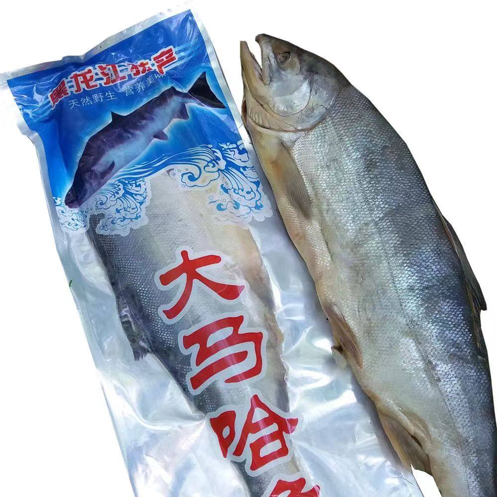 咸大马哈鱼新鱼整条腌制红肉马哈鱼东北黑龙江抚远特产纯江鱼咸鱼