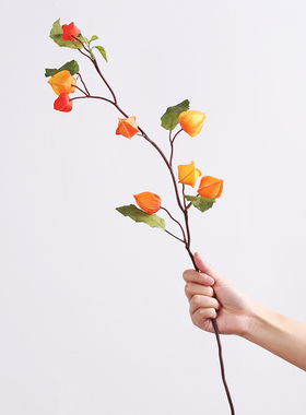 灯笼果仿真花发财果假花现代客厅