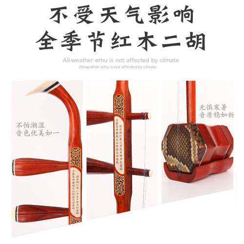 精品红花梨木二胡 红花梨木二胡 初学成人实木二胡 教学二胡 - 图2