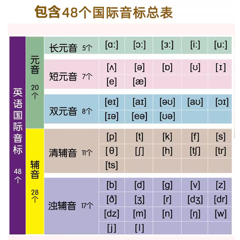 新版英语国际音标发音卡片48张个小学生初中英文入门教材学习神器