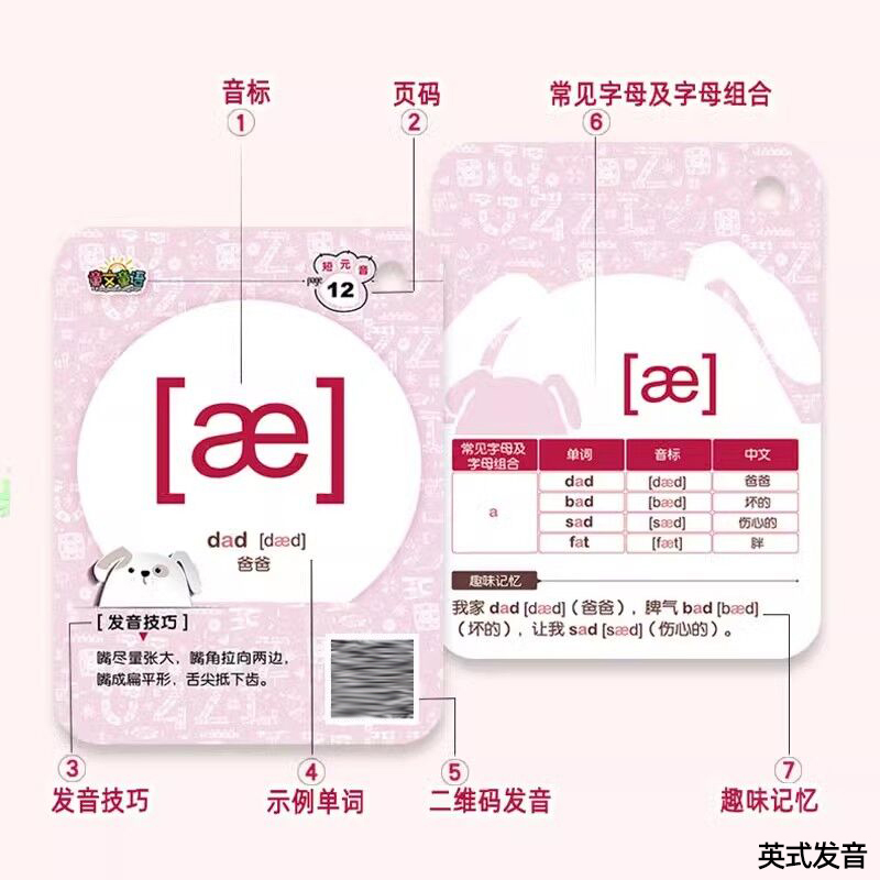 新版英语国际音标发音卡片48张个小学生初中英文入门教材学习神器