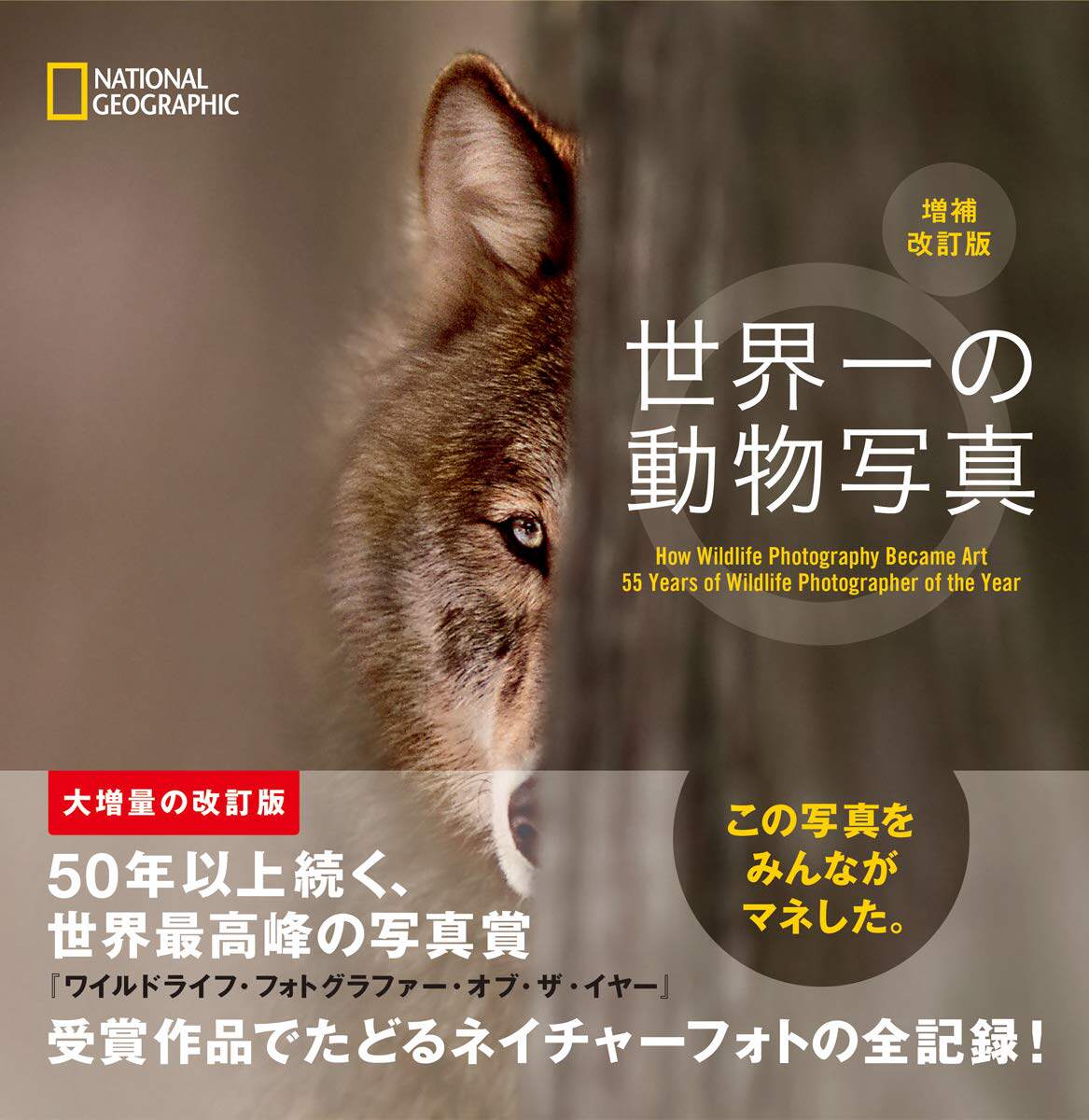 动物日文推荐品牌 新人首单立减十元 21年6月 淘宝海外