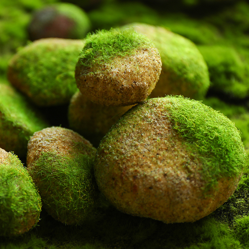 仿真青苔假山石头鹅卵苔藓造景摆件盆鱼缸水培幼儿园庭院花园装饰 - 图0