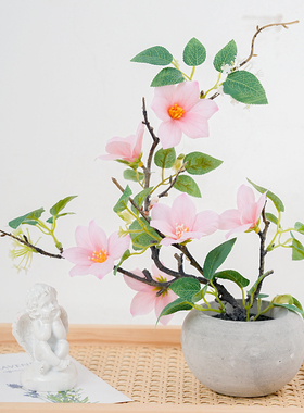 仿真花盆栽玉兰花客厅桌面装饰