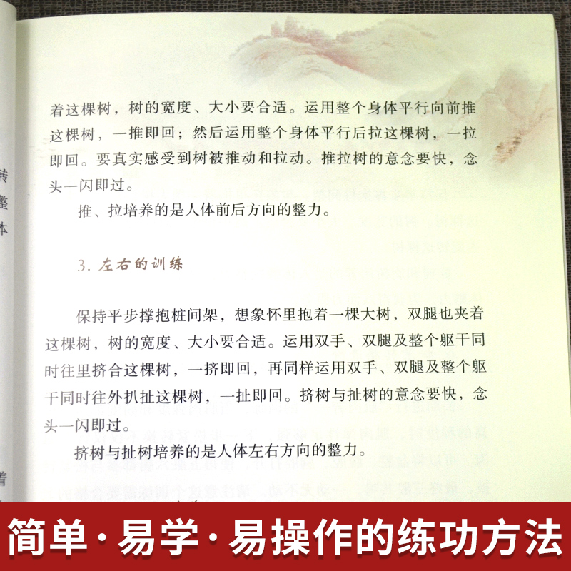 正版书籍 站桩入门与养生 张勇谋高松著 家庭保健养生书排行榜武术气功站桩的概述分类基本功站桩具体练法人民体育出版社 - 图2