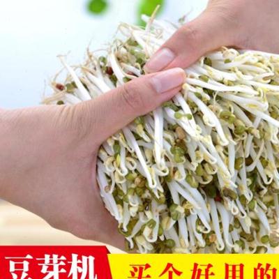 全自动豆芽机家用发芽盆培育器陶瓷豆芽罐非紫砂不红不苦-图0