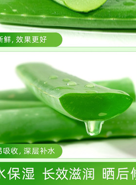 大容量芦荟胶芙诗婷植萃保湿凝胶清爽不黏日常润肤面霜