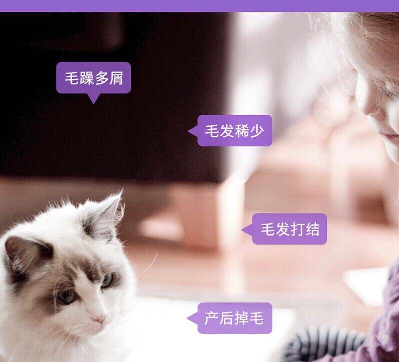 卫仕猫卵磷脂30g*3瓶鱼油卵磷脂成幼猫爆毛粉粒美毛海藻营养品,淘宝优惠券,粉丝福利购,淘宝优惠卷