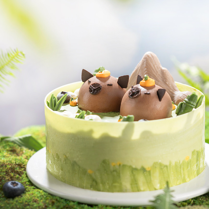 【水豚物语】森林童话动物造型蛋糕丰富夹层儿童生日蛋糕同城现做,淘宝优惠券,粉丝福利购,淘宝优惠卷