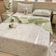 Autumn and winter double-sided tatami cotton bed cover three-piece set