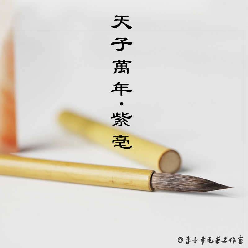 天子万年毛笔 新人首单立减十元 22年1月 淘宝海外