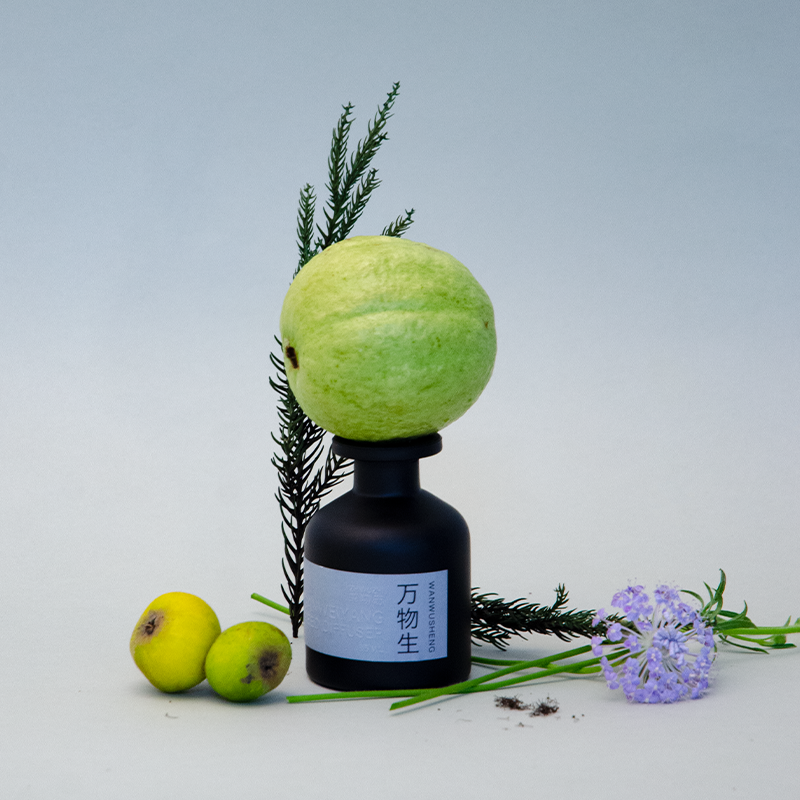 「自用推荐」挚物志香水香氛无火香薰包装微瑕残次品专拍链接,淘宝优惠券,粉丝福利购,淘宝优惠卷