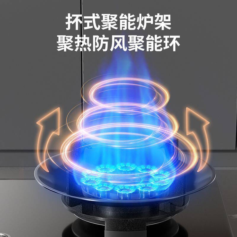 志高燃气灶定时猛火灶台式嵌入式双灶液化气煤气灶家用灶具猛火灶