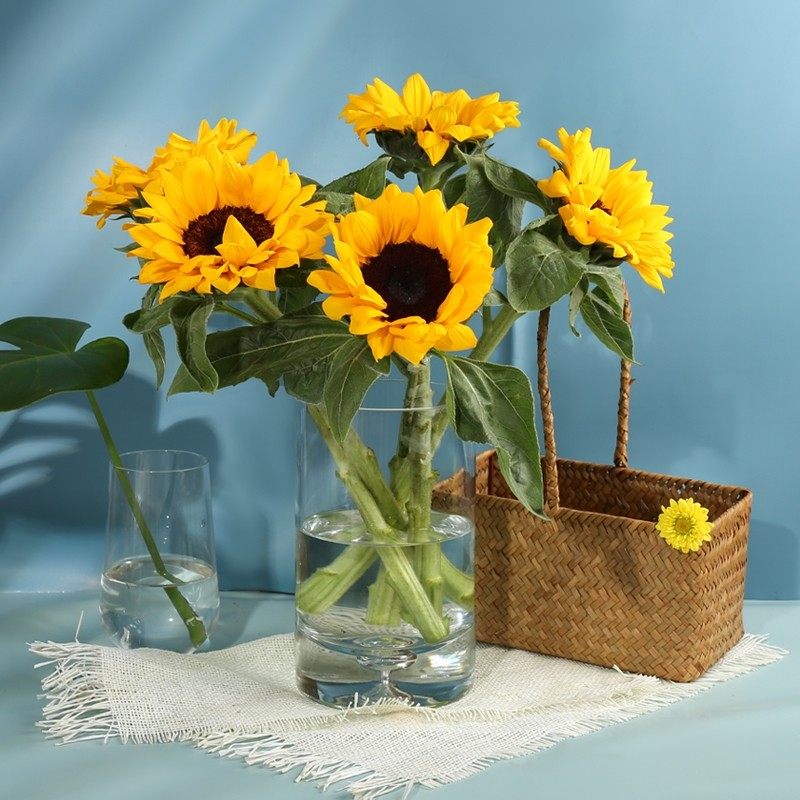 【向日葵基地】向日葵鲜花家庭插花瓶插养护 云南鲜花基地直发包,淘宝优惠券,粉丝福利购,淘宝优惠卷
