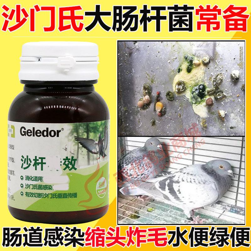 格莱德鸽药沙杆特号效信鸽沙门氏菌大肠杆菌肠炎拉稀水绿便鸽子药