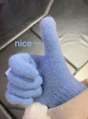 树莓粉ins简约百搭手套女冬天