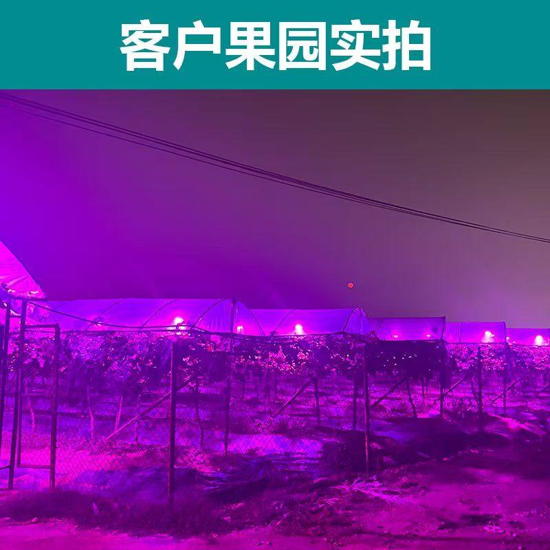 led大棚植物生长灯e27螺口仿太阳光多肉草莓火龙果大棚蔬菜花卉,淘宝优惠券,粉丝福利购,淘宝优惠卷