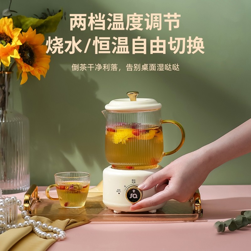 养生杯mini电炖办公室迷你煮烧水壶 米栗熊养生壶/煎药壶