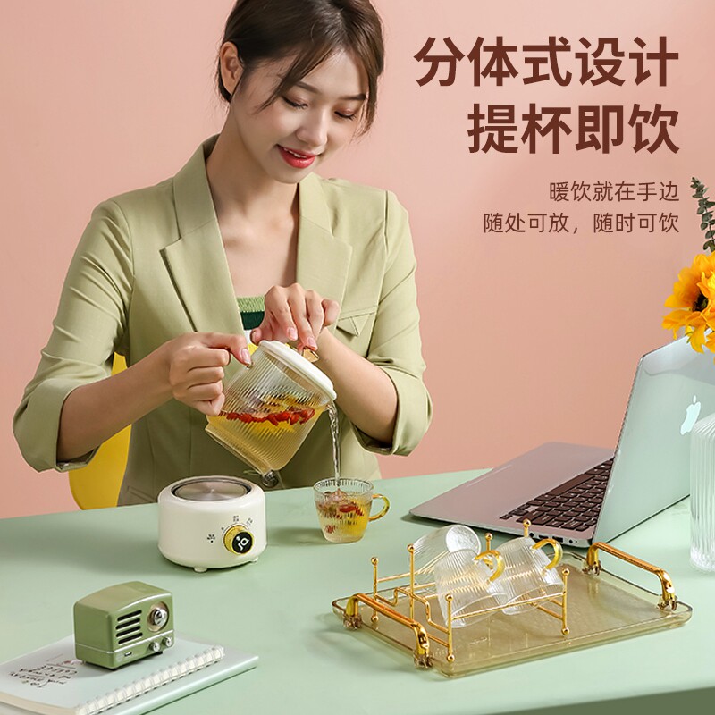 养生杯mini电炖办公室迷你煮烧水壶 米栗熊养生壶/煎药壶