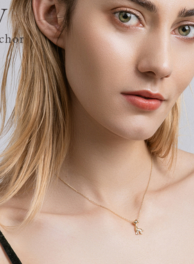 2021年新款轻奢小众女ins项链
