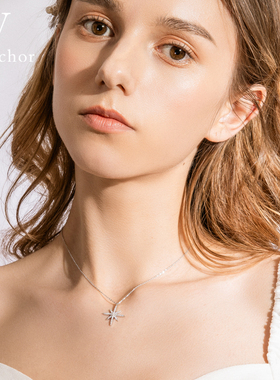 2021年新款小众轻奢S925网红项链